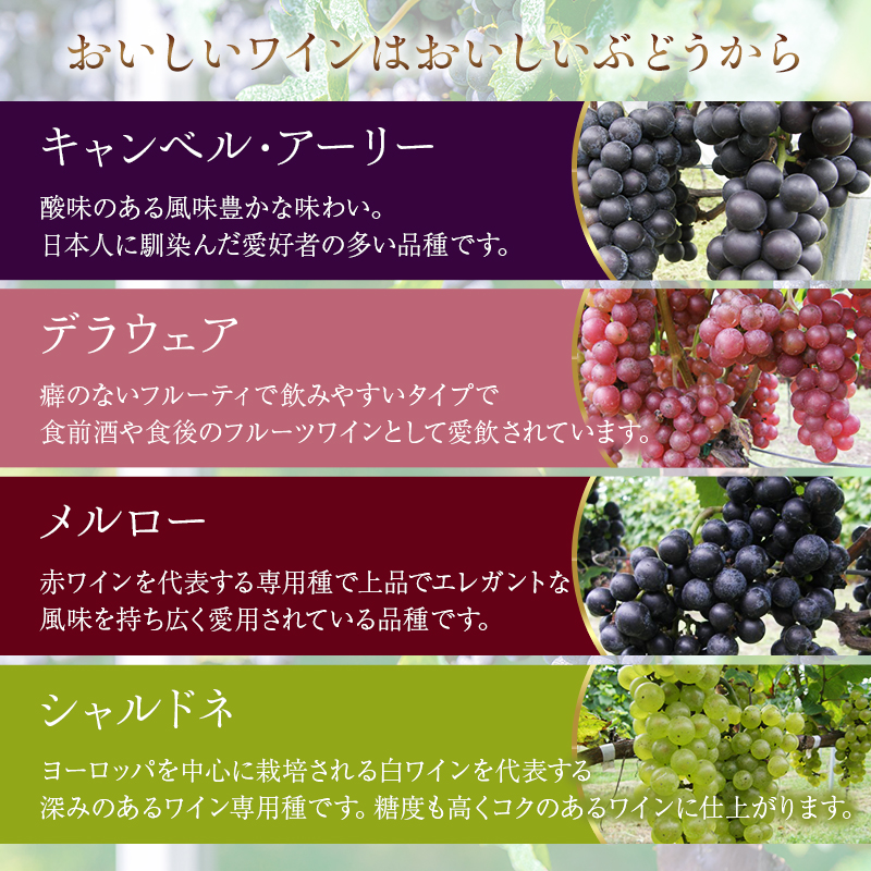 かぬま 里山わいん 里山のめぐみ 赤ワイン 720ml & 白ワイン 720ml お届け 入金確認後 14日～1ヶ月