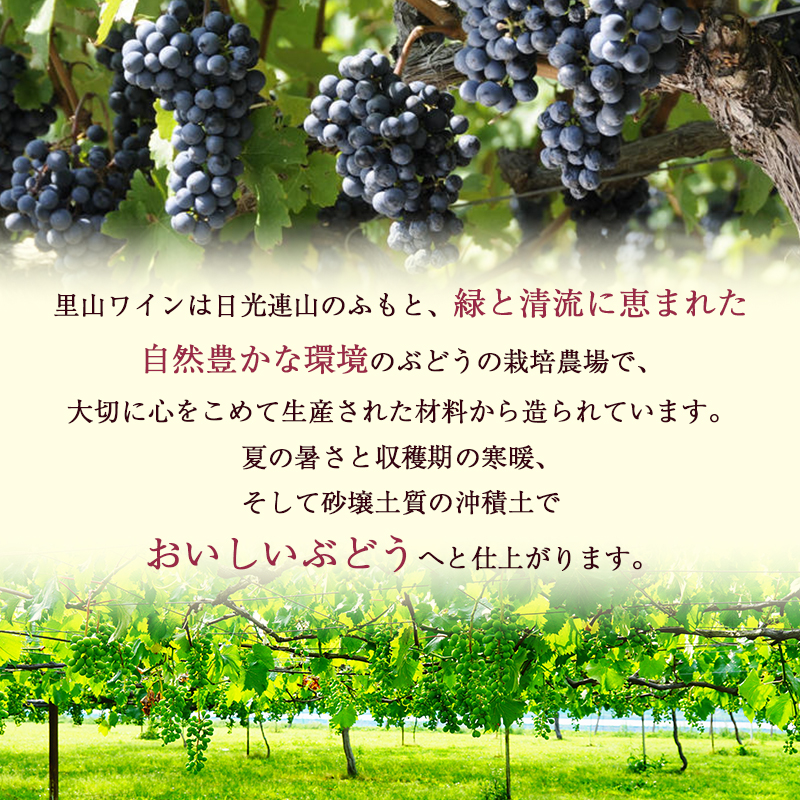 かぬま 里山わいん 輝き 赤ワイン 720ml  お届け 入金確認後 14日～1ヶ月