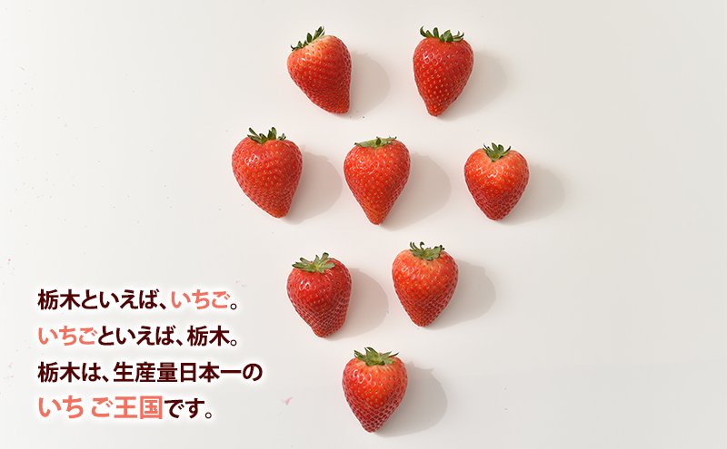 いちご市 鹿沼の 美味しい 「い」「ち」「ご」 とちあいか 15粒入り260g 2パック 【発送予定】2月1日～2月28日 いちご イチゴ 苺 フルーツ 果物 甘い うまい 日本一 品質 ビタミンC 果実 贈答用 鹿沼市 かぬま