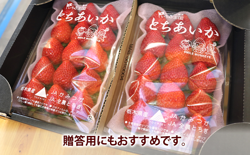 いちご市 鹿沼の 美味しい 「い」「ち」「ご」 とちあいか 15粒入り260g 4パック 【発送予定】2月1日～2月28日 いちご イチゴ 苺 フルーツ 果物 甘い うまい 日本一 品質 ビタミンC 果実 贈答用 鹿沼市 かぬま