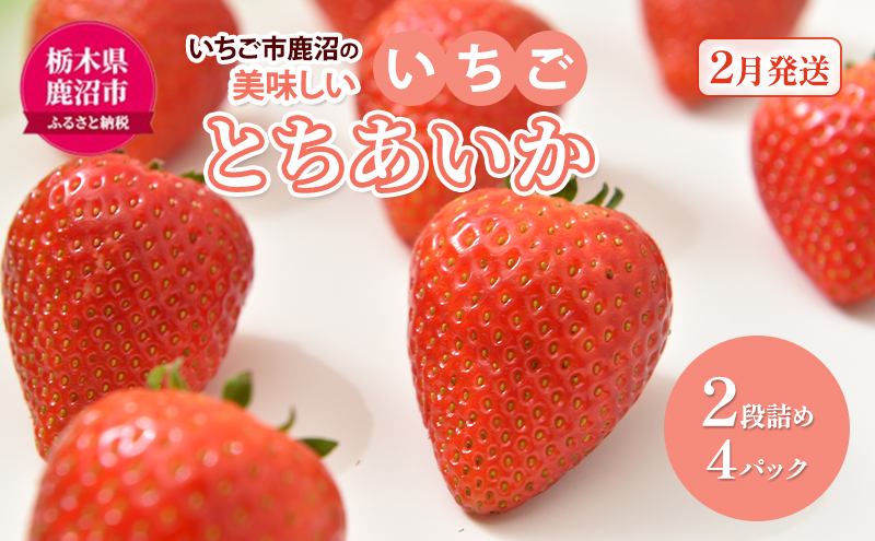 いちご市 鹿沼の 美味しい 「い」「ち」「ご」 とちあいか 2段詰め 4パック 【発送予定】2月1日～2月28日 いちご イチゴ 苺 フルーツ 果物 甘い うまい 日本一 品質 ビタミンC 果実 家庭用 鹿沼市 かぬま