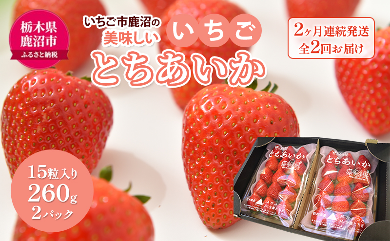 【 定期便 】 いちご市 鹿沼の 美味しい 「い」「ち」「ご」 とちあいか 15粒入り260g 2パック 2ヶ月連続発送 全2回 お届け いちご イチゴ 苺 フルーツ 果物 甘い うまい 日本一 ビタミンC 贈答用 鹿沼市 かぬま