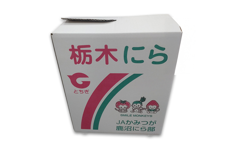 鹿沼市産 にら 1番ニラ 4kg 1箱【発送期日】1月11日～2月28日 にら ニラ 野菜 うまい 甘い 柔らかい風味 鹿沼市 かぬま