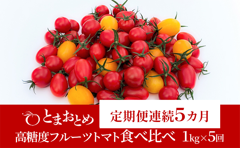 【定期便 連続5カ月】 栃木県 鹿沼産 高糖度 フルーツトマト ”とまおとめ” 食べ比べ 1kg×5回  1月中旬～5月下旬  野菜 トマト カキヌマファーム アイコ フルティカ アルル イエローアイコ 濃厚 甘み 旨み 入手困難