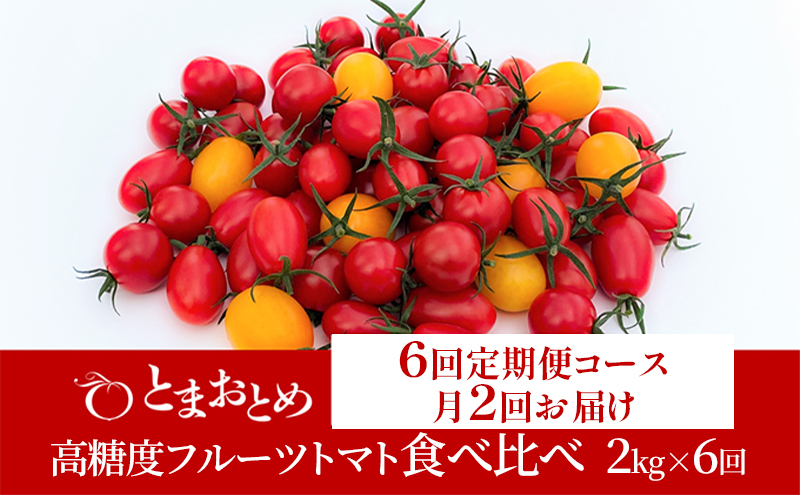 【 定期便 月2回 計6回 】 栃木県 鹿沼産 高糖度 フルーツトマト ”とまおとめ” 食べ比べ 2kg×6回 1月中旬～5月下旬 野菜 トマト カキヌマファーム アイコ フルティカ アルル イエローアイコ 濃厚 甘み 旨み 入手困難