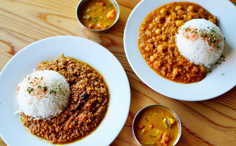 カレー 月とスパイス サンバルカレー 180g×3個セット 冷凍パック オリジナルインドカレー 鹿沼市 栃木県