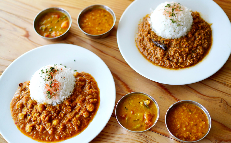 カレー 月とスパイス サンバル 180g×2個 ＆ ダルカレー 180g×2個 冷凍パック オリジナルインドカレー 鹿沼市 栃木県