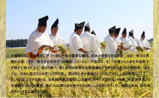 縲仙ョ壽悄萓ソ2繝カ譛医第譛ィ逵碁ケソ豐シ蟶ら肇 縺ィ縺。縺弱ョ譏 辟。豢礼アウ 莉、蜥7蟷エ逕」 2kg ス 豌エ遞イ縺繧九■邊セ邀ウ 蜊倅ク蜴滓侭邀ウ 縺顔アウ 迚ケA 螟ァ邊 逕倥& 窶サ豐也ク繝サ髮「蟲カ縺ク縺ョ驟埼∽ク榊庄