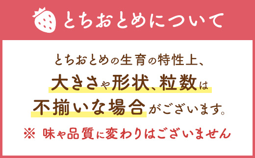 【先行予約】つる付き とちおとめ 4パック（3月～5月発送） ｜ いちご 果物 フルーツ 苺 イチゴ くだもの 朝取り 新鮮 美味しい 甘い ※2026年3月上旬～5月中旬頃に順次発送予定
