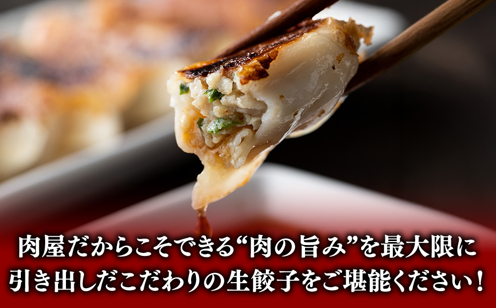 冷凍 生餃子 肉屋の餃子（45個入り） 2パック
