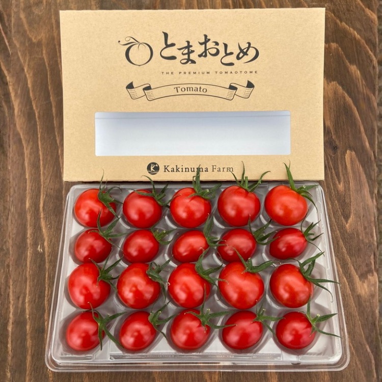 栃木県 鹿沼産 高糖度フルーツトマト ”とまおとめ” 2品種食べ比べBOX（アイコ・フルティカ） | 野菜 トマト ミニトマト カキヌマファーム 濃厚 贈り物 新鮮 高糖度 リコピン ビタミン ダイエット 美容 健康 ※2025年12月下旬～2026年6月上旬頃に順次発送予定