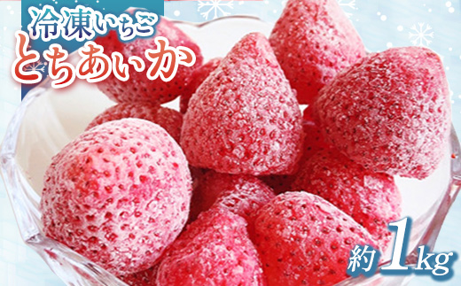 出会いの森いちご園 冷凍いちご （1kg） | いちご イチゴ 苺 栃木県 果物 くだもの フルーツ とちあいか 新鮮 贈答 ギフト デザート スイーツ 冷凍 ※2026年5月～発送
