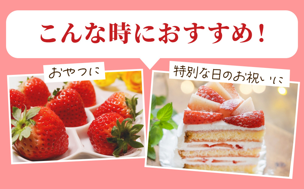 【先行予約】出会いの森いちご園 スカイベリー （290g×4パック） | いちご イチゴ 苺 栃木県 果物 くだもの フルーツ スカイベリー 新鮮 贈答 ギフト デザート スイーツ ※2026年12月～発送