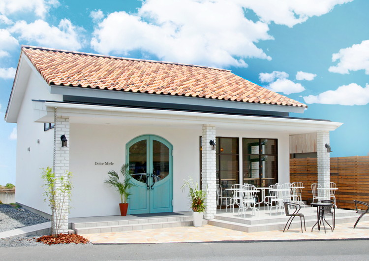 ã¯ã¡ã¿ã€ ãžã§ã©ãŒã ãš ã¯ã¡ã¿ã€å±ãã ã® ã«ãã³ããŒã«ïŒãžã§ã©ãŒãç24åïŒ ã¹ã€ãŒã ãèå ã¢ã€ã¹ ã·ã£ãŒããã ãèå ã±ãŒã ã¿ã«ã â»åæµ·éã»æ²çžã»é¢å³¶ãžã®é
éäžå¯