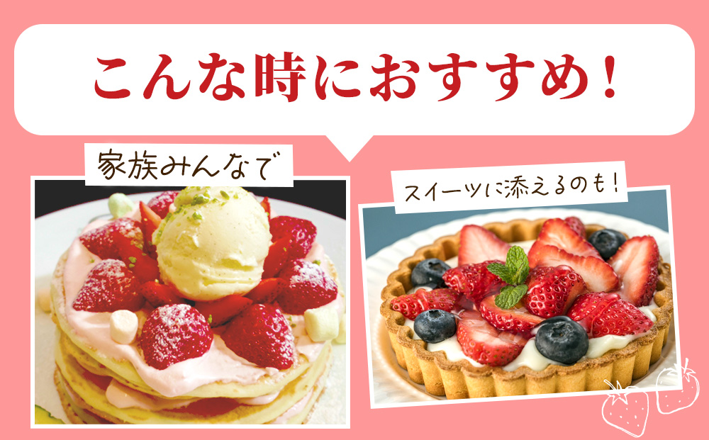 【先行予約】出会いの森いちご園 スカイベリー （290g×2パック） | いちご イチゴ 苺 栃木県 果物 くだもの フルーツ スカイベリー 新鮮 贈答 ギフト デザート スイーツ ※2026年12月～発送