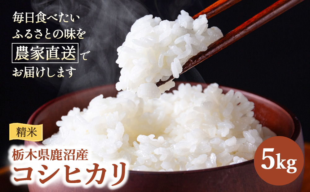 令和7年度産 コシヒカリ 精米 5kg | 白米 米 お米 こしひかり 農家直送 栃木 鹿沼市