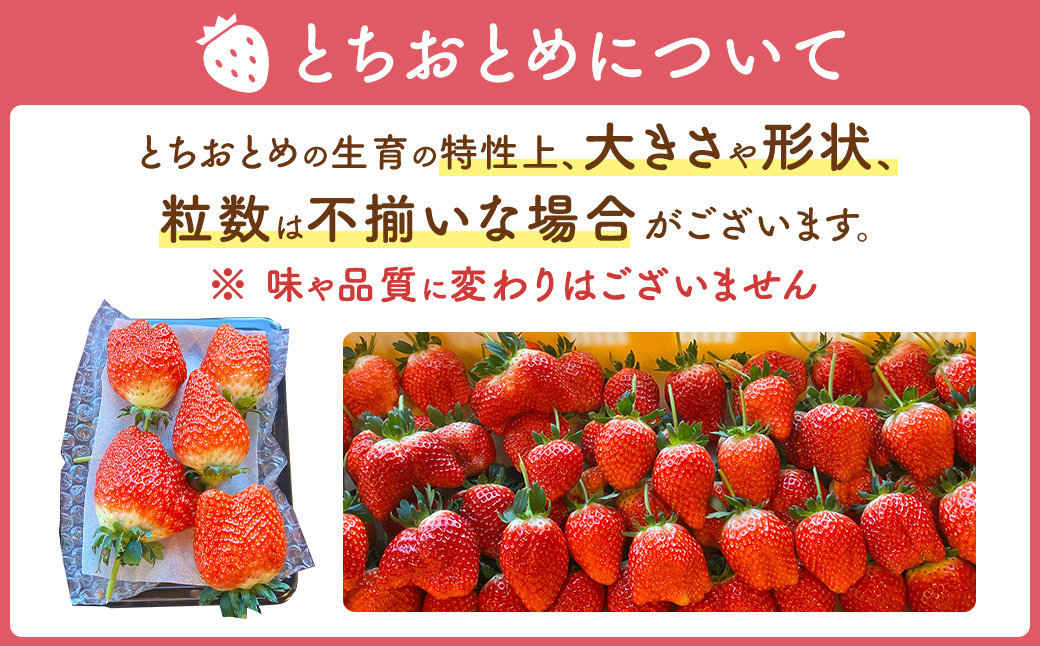 【先行予約】いちご 味くらべ紅白いちご 3種 4パック ※2027年3月～発送