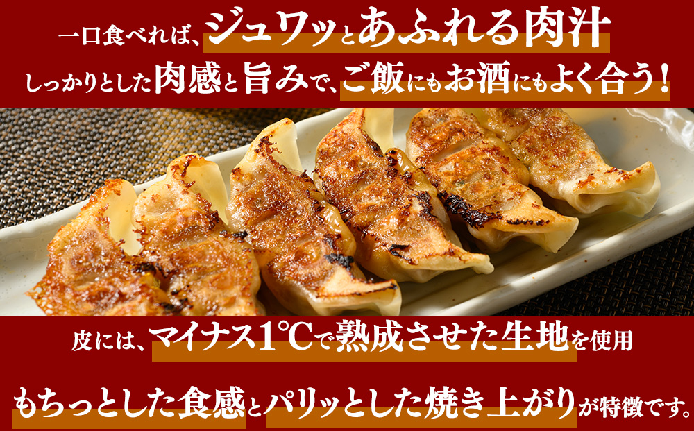 冷凍 生餃子 肉屋の餃子（45個入り） 2パック