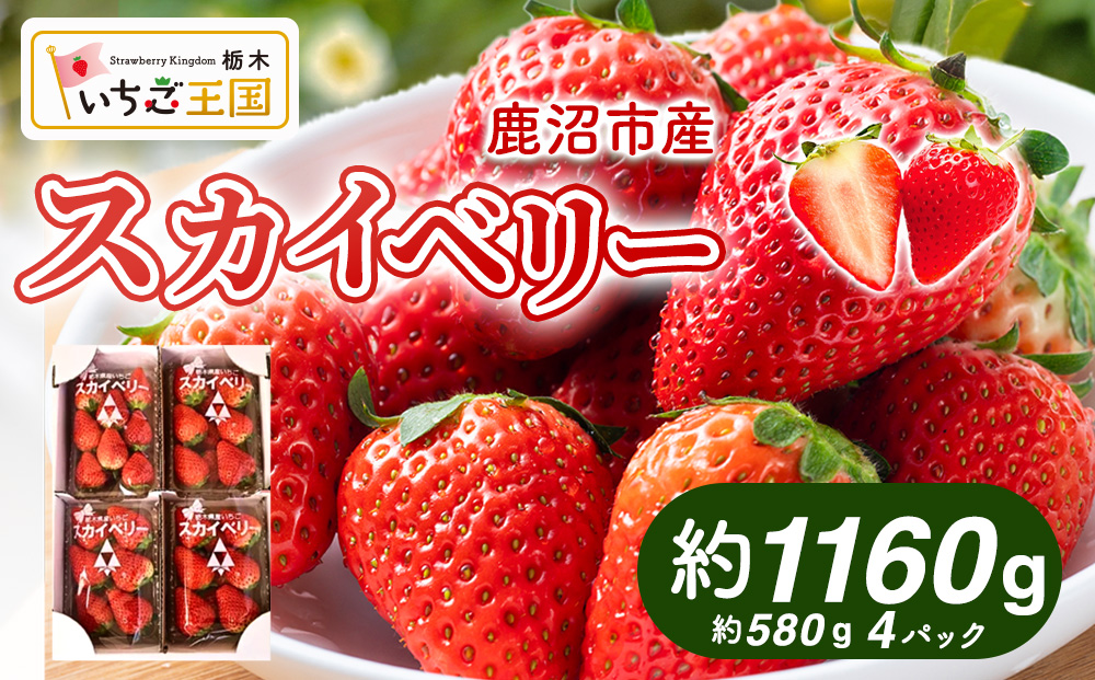 【先行予約】出会いの森いちご園 スカイベリー （290g×4パック） | いちご イチゴ 苺 栃木県 果物 くだもの フルーツ スカイベリー 新鮮 贈答 ギフト デザート スイーツ ※2026年12月～発送