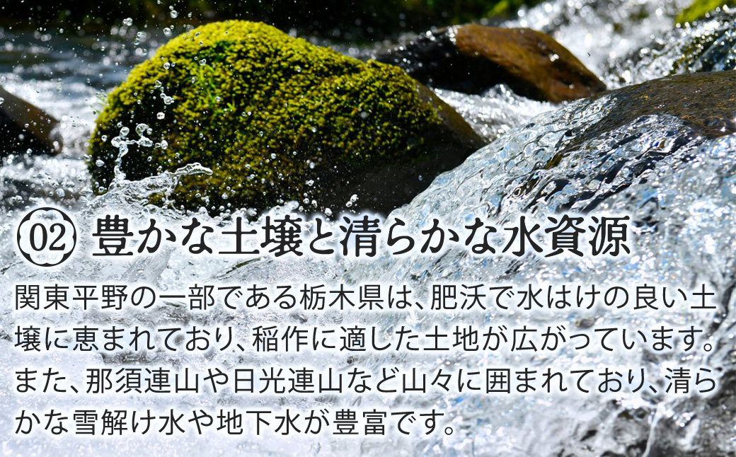 ãæ°ééå®ãæ æšç鹿沌åžç£ ãšã¡ãã®æ ç¡æŽç±³ 10kgïŒ5kgÃ2è¢ïŒä»€å7å¹Žç£ | æ°Žçš²ããã¡ç²Ÿç±³ åäžåæç±³ ãç±³ ç¹A å€§ç² çã â»æ²çžã»é¢å³¶ãžã®é
éäžå¯