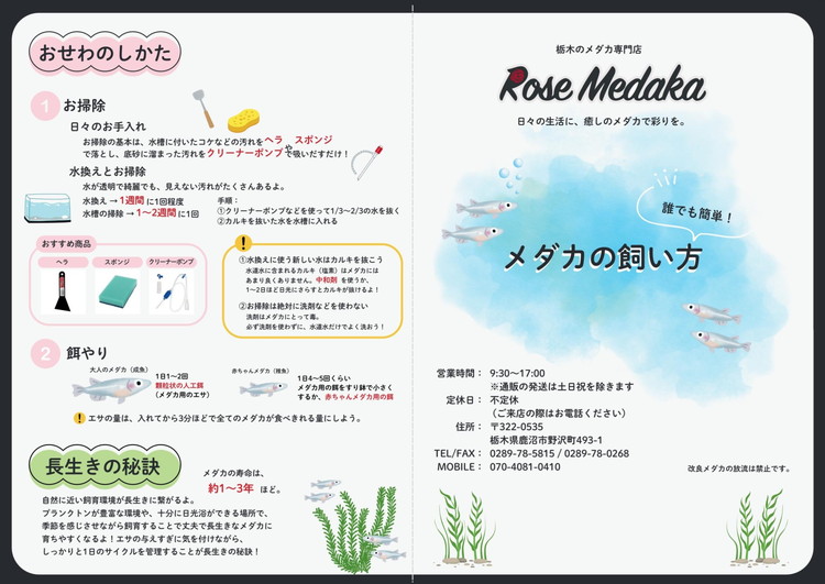 めだかさんミックス 計7匹（5匹＋死着保証2匹）（品種おまかせ） ｜ めだか メダカ 改良 飼育 生体 観賞魚 魚 ペット おまかせ ミックス ※2026年4月上旬～10月下旬頃に順次発送予定 ※北海道・沖縄・離島への配送不可