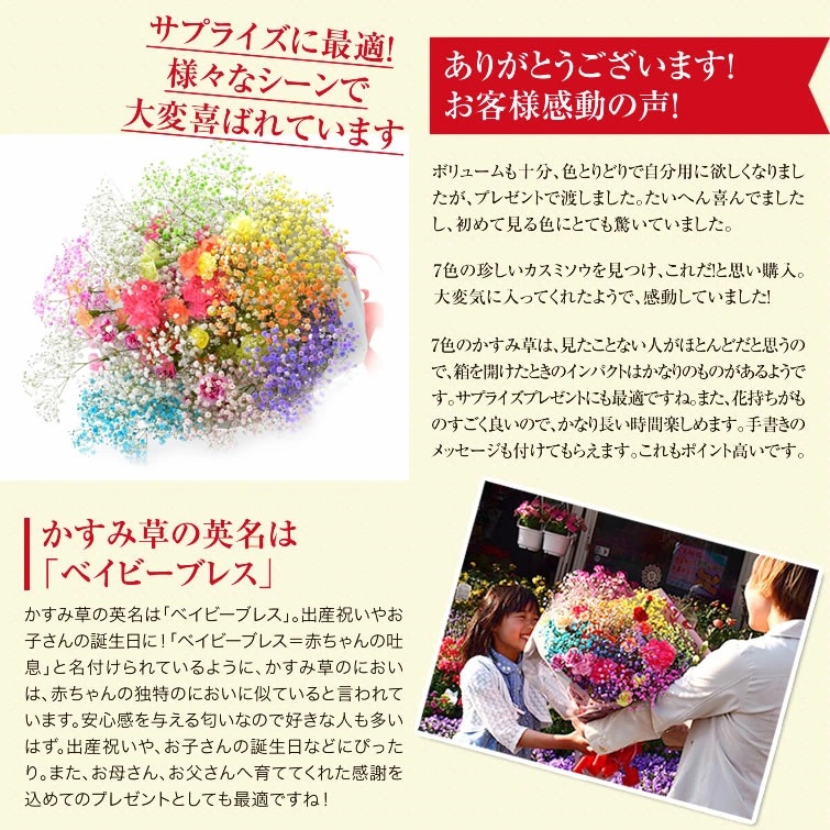 ミックススマイルバスケット ｜ フラワーアレンジメント 生花 花 ギフト ロマンチックかすみ草 七色 輝く カスミソウ カスミ草 かすみそう お祝い プレゼント アレンジ花 カラフル おしゃれ