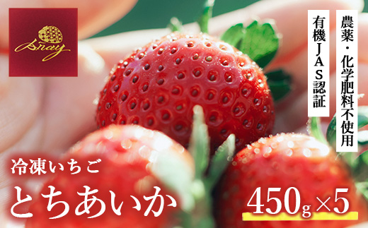 冷凍いちご 450g×5