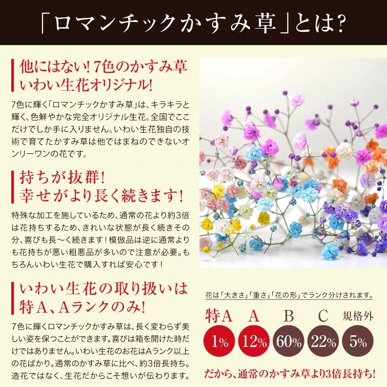 ミックススマイルバスケット ｜ フラワーアレンジメント 生花 花 ギフト ロマンチックかすみ草 七色 輝く カスミソウ カスミ草 かすみそう お祝い プレゼント アレンジ花 カラフル おしゃれ
