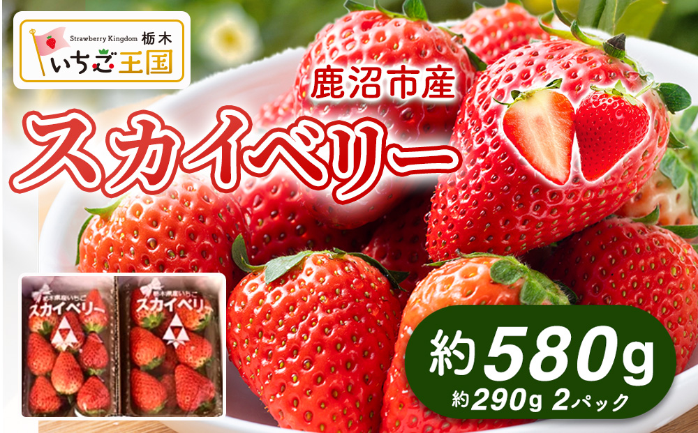 【先行予約】出会いの森いちご園 スカイベリー （290g×2パック） | いちご イチゴ 苺 栃木県 果物 くだもの フルーツ スカイベリー 新鮮 贈答 ギフト デザート スイーツ ※2026年12月～発送