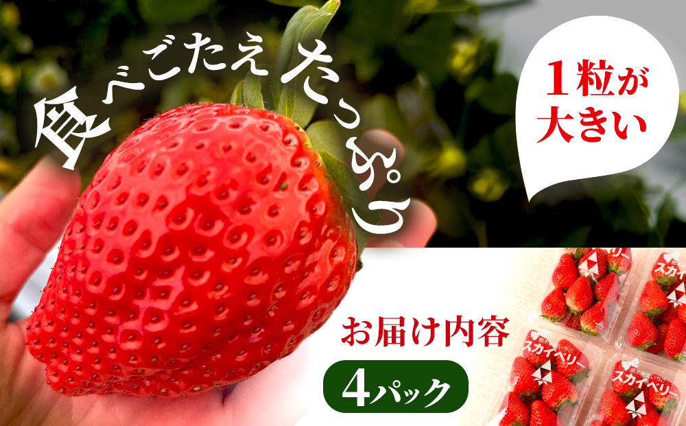 【先行予約】出会いの森いちご園 スカイベリー （290g×4パック） | いちご イチゴ 苺 栃木県 果物 くだもの フルーツ スカイベリー 新鮮 贈答 ギフト デザート スイーツ ※2026年12月～発送