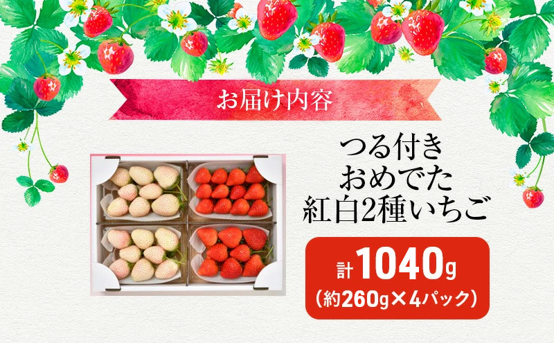 【先行予約】いちご おめでた紅白2種いちご 4パック ※2027年3月～発送