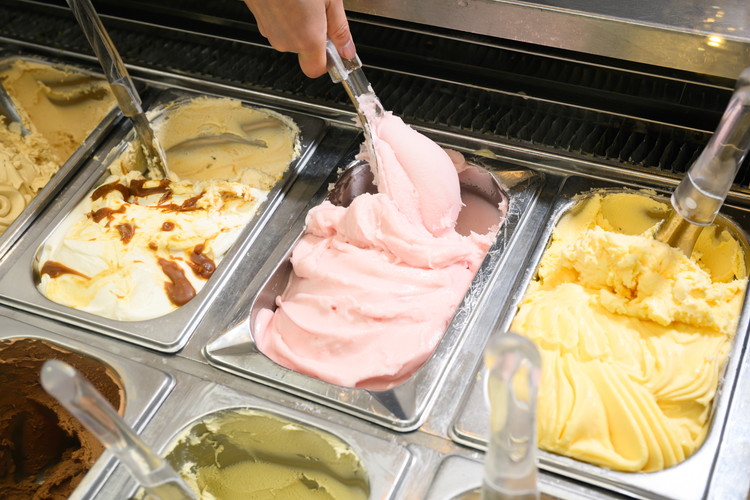 はちみつ ジェラート と はちみつ屋さん の カマンベール（ジェラート等14個） スイーツ お菓子 アイス シャーベット お菓子 ケーキ タルト ※北海道・沖縄・離島への配送不可