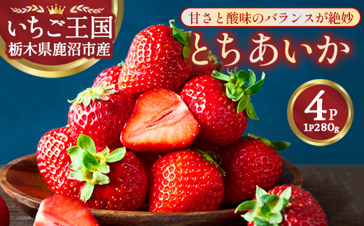 鹿沼市産 とちあいか（280g×4パック） | いちご イチゴ 苺 栃木県 果物 くだもの フルーツ とちあいか 新鮮 贈答 ギフト ※離島への配送不可 ※2026年1月上旬～3月下旬頃に順次発送予定
