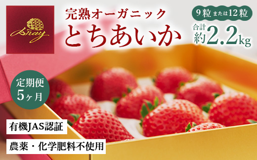 【定期便5ヶ月】完熟オーガニックとちあいか 9粒または12粒 ※2025年12月上旬～2026年4月下旬頃に順次発送予定