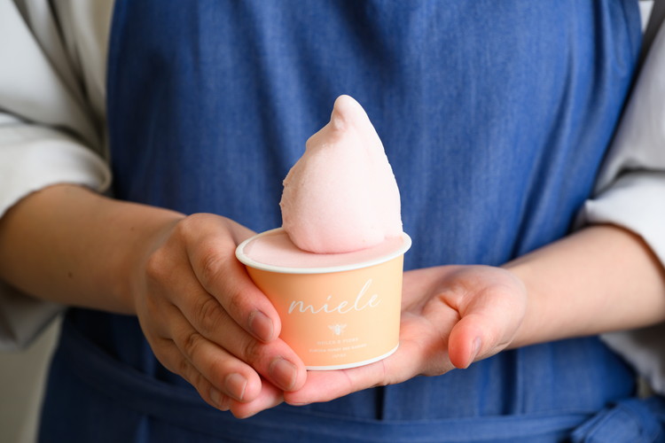 ã¯ã¡ã¿ã€ ãžã§ã©ãŒã ãš ã¯ã¡ã¿ã€å±ãã ã® ã«ãã³ããŒã«ïŒãžã§ã©ãŒãç24åïŒ ã¹ã€ãŒã ãèå ã¢ã€ã¹ ã·ã£ãŒããã ãèå ã±ãŒã ã¿ã«ã â»åæµ·éã»æ²çžã»é¢å³¶ãžã®é
éäžå¯