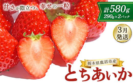 【3月発送】鹿沼市産 とちあいか（290g×2パック）｜ いちご イチゴ 苺 栃木県 果物 くだもの フルーツ とちあいか 新鮮 贈答 ギフト ※北海道・沖縄・離島への配送不可 ※2026年3月上旬～3月下旬頃に順次発送予定