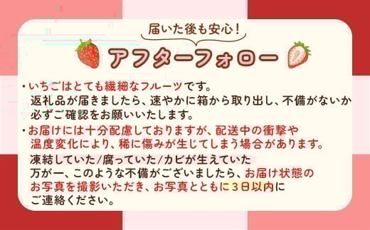 こだわり農家のとちおとめ 1kg 4パック ※2026年1月上旬～3月下旬頃に順次発送予定 ※離島への配送不可