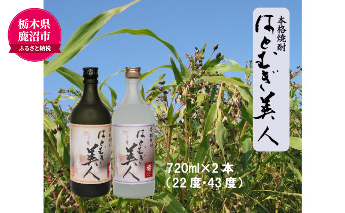 【栃木県 鹿沼市産】 本格焼酎 はとむぎ 美人 2本セット（22度・43度）各720ml×２本 酒 焼酎 麦 酒 米焼酎