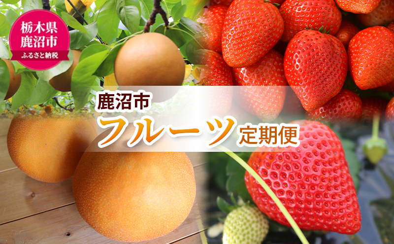 【 定期便 2回 】 大玉な梨 にっこり 2玉 約2kg と いちご市 鹿沼の 美味しい「い」「ち」「ご」とちあいか 15粒入り320g 2パック のフルーツ 定期便 ｜ 梨 いちご 鹿沼市 かぬま ※2026年10月～発送