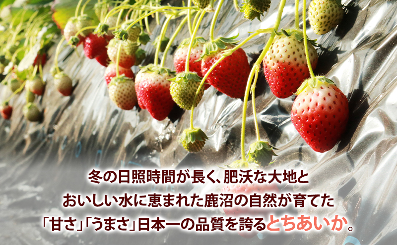 ãå
è¡äºçŽããå®æäŸ¿ããã¡ã ãšã¡ããã 15ç²å
¥ã320g 2ãã㯠2ã¶æå®æäŸ¿ ïœ ã€ããŽ èº ãã«ãŒã æç© çã èŽççš ãã¬ãŸ â»2027幎1æïœçºé
