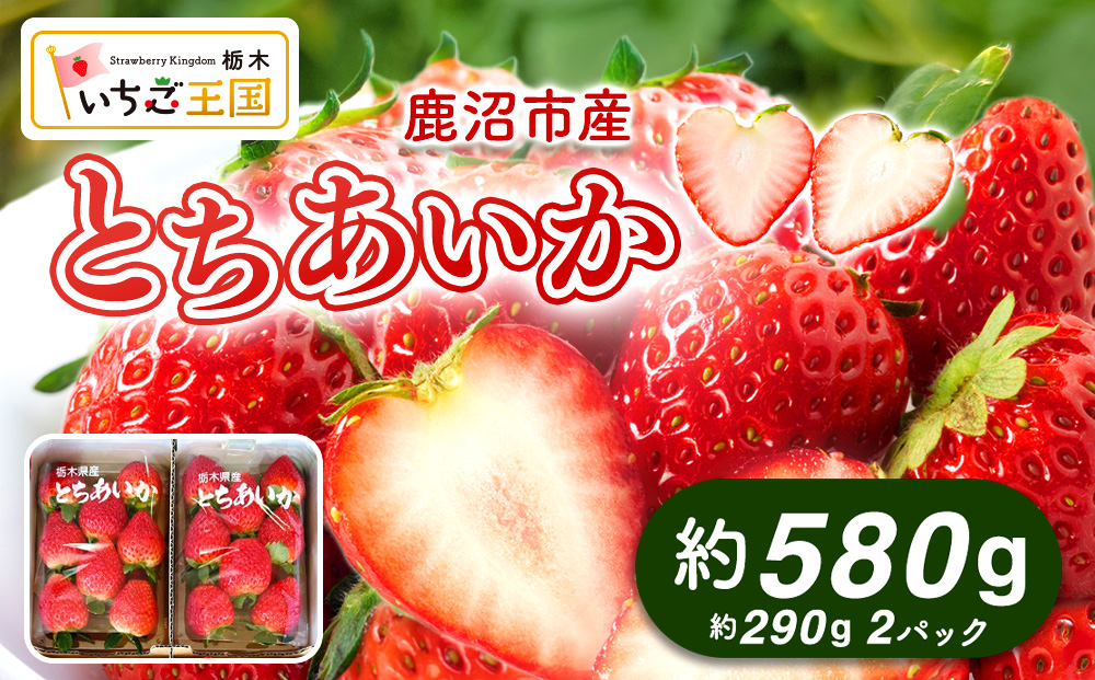 【先行予約】いちご とちあいか 出会いの森いちご園 （290g×2パック） | いちご イチゴ 苺 栃木県 果物 くだもの フルーツ とちあいか 新鮮 贈答 ギフト デザート スイーツ ※2026年12月～発送