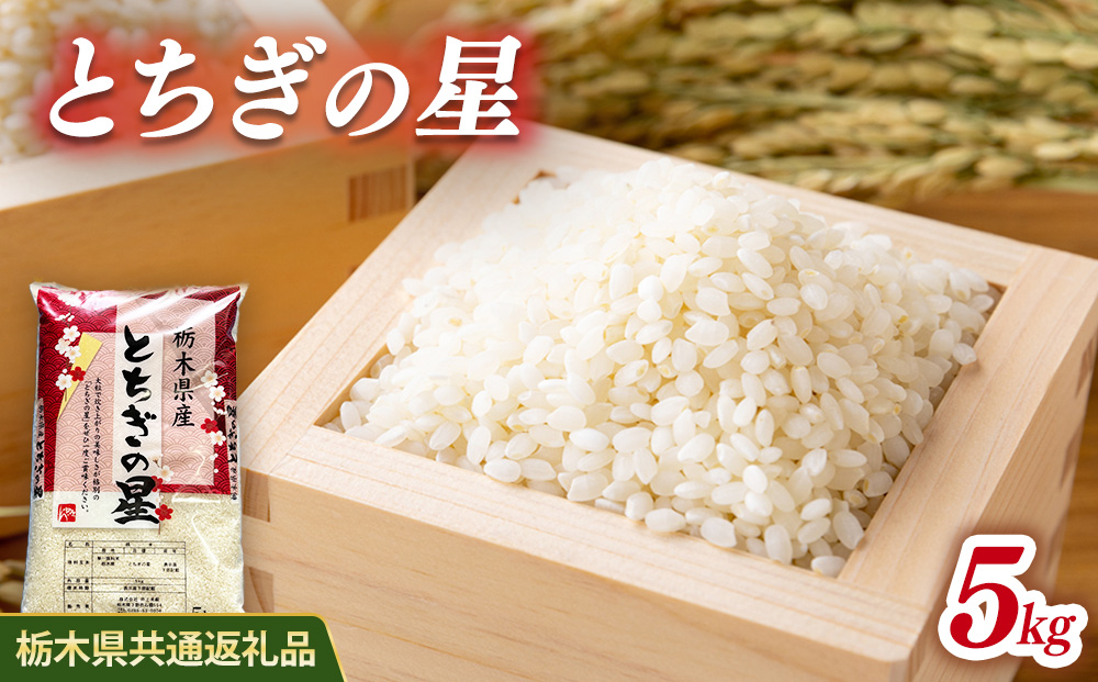 米 とちぎの星 5kg 栃木県産【栃木県共通返礼品】