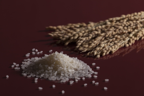 【2025年産】鬼怒川金谷ホテルの滋養米 コシヒカリ 3kg×3袋 | 日光ブランド 厳選 米 ごはん 無農薬 無化学肥料栽培 自然農法