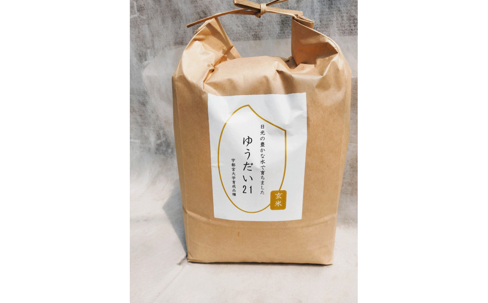 【先行予約受付】≪2025年11月発送≫令和7年産 ゆうだい21 玄米 10kg（5kg×2袋） ｜米 お米 新米 数量限定