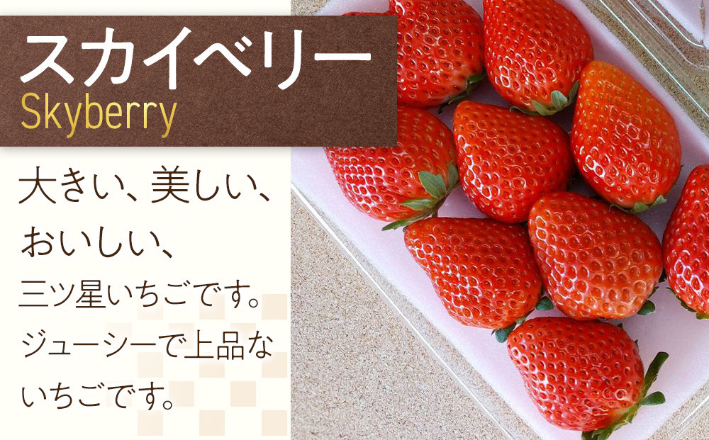 ïŒ4ãæé£ç¶å®æäŸ¿/èš4åïŒã ãããèºåã®äººæ°ã®ãã¡ã4çš®å®æäŸ¿ ã2026幎1æåæ¬ããé æ¬¡çºéã ïœãã«ãŒã ãã¡ã èº æééå® å®æäŸ¿ ãšã¡ããšã ã¹ã«ã€ããªãŒ ãšã¡ããã ãã«ããŒããªãŒ æ æš ç£å°çŽé ç£çŽ