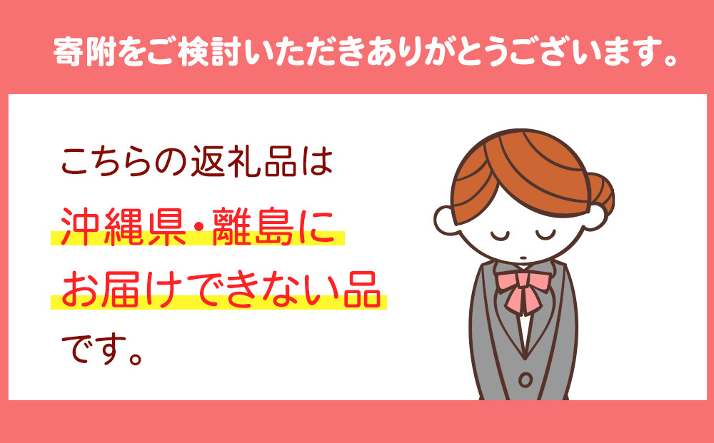 【先行予約】大粒とちあいか1パック＋大粒とちおとめ1パック=（合計）2パック入り【2026年1月上旬より順次発送】 | 生産量 日本一 果物 フルーツ 苺 イチゴ 農家直送 栃木県 日光市