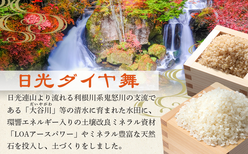 譌・蜈峨ム繧、繝、闊 1蟷エ逶ョ 逋ス邀ウ5繧ュ繝ュ 譛画ゥ滓ス蝓ケ 霎イ阮ャ荳堺スソ逕ィ 繧ウ繧キ繝偵き繝ェ 莉、蜥7蟷エ蠎ヲ邀ウ ス 縺顔アウ 譛画ゥ滓ス蝓ケ 辟。霎イ阮ャ 繧ウ繧キ繝偵き繝ェ 譬譛ィ逵 譌・蜈牙ク