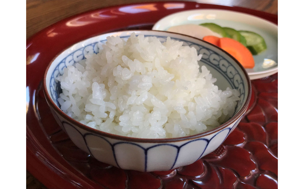 令和7年産 ゆうだい21 白米 10kg（5kg×2袋） ｜米 お米 数量限定