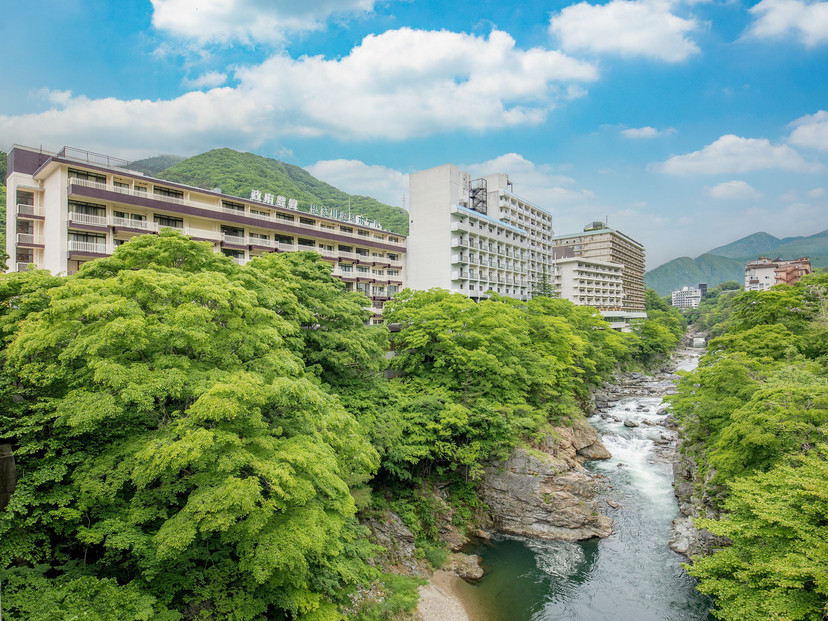鬼怒川温泉ホテル ペア宿泊券[和室][夕食:個室でご用意(和会席)/朝食:ブッフェ]