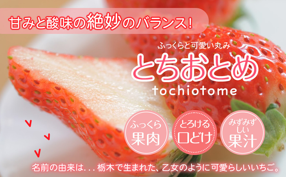 【先行予約】大粒とちおとめ4パック入り【2026年1月上旬より順次発送】 | 生産量 日本一 果物 フルーツ 苺 イチゴ 農家直送 栃木県 日光市